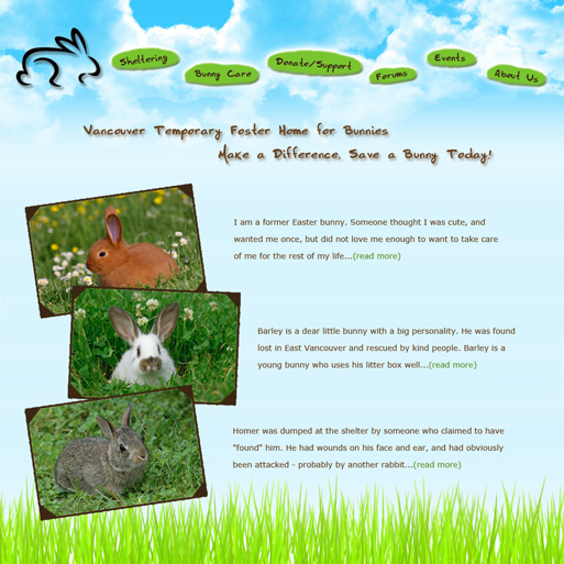 Foster Home for Bunnies